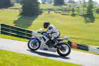 Advanced Group White Bikes